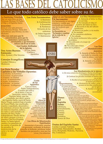 Catholic Basics - Spanish Version